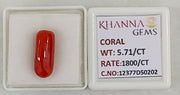 5.71/CT Natural Red Coral With Govt. Lab Certificate-12377D50202